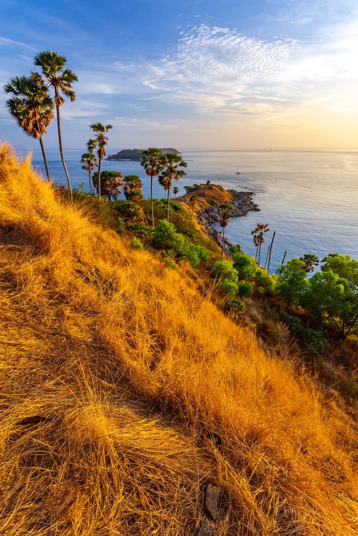 Palm trees above the sea at Promthep Cape